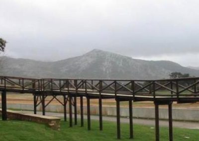 Puente de madera tratada en autoclave n4 con varandilla con cruz y suelo tratado anti deslizante